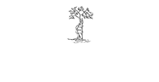 Awesome Logo
